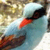 Marilyn Alford (@234jagyf) Twitter