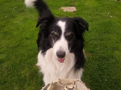 Sbastie20102643's profile picture. 