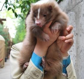 jisooching's profile picture. 