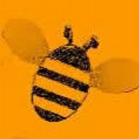 Noah Keeps Bees (@beebeekeeping) 's Twitter Profile
