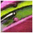 captorta's profile image