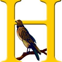 IB World School at Huffman Elementary (@huffmanhawkspyp) 's Twitter Profile