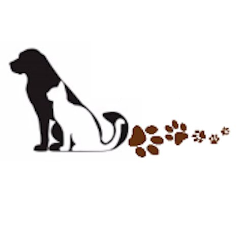 Sit Happens! supports the health and happiness of animals by accommodating busy pet owners to facilitate socialization, exercise, and exceptional pet care.