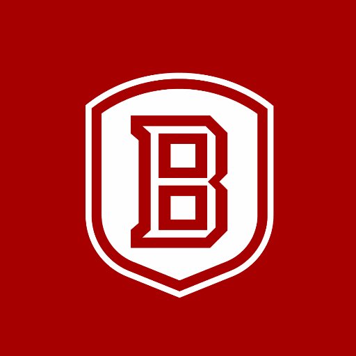 Image result for bradley braves logo