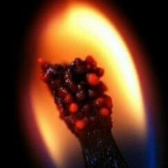 rcdbazinga's profile picture. always learning