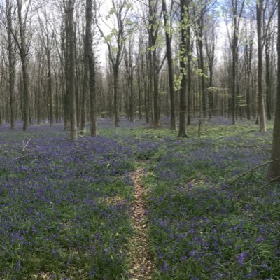 Just a person - living in the West Sussex country side