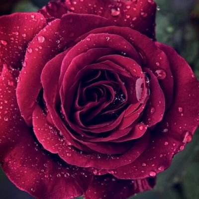 DM us your love quotes/thoughts/feels and we'll post them anonymously.. or add it to the TL. Speak your mind! I'm waiting. #WorldWide Not a robot.