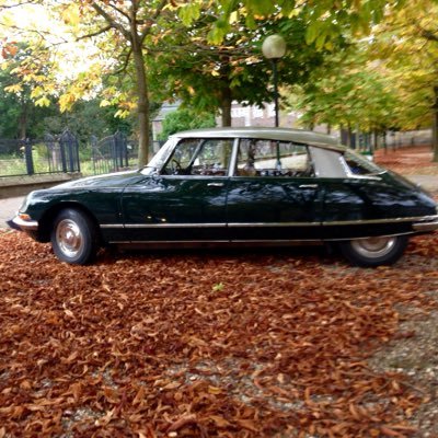 Gyproc gipsen Overtuig Expert. Citroen DS en verse appelmoes. Laat uw verrassen verbazen en ontroeren door die prachtige Gyproc gipsen.