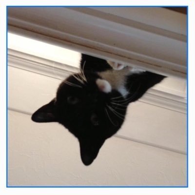 BrydonTeresa's profile picture. Working in the family business! It’s good to change up things late in your career.