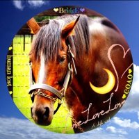 摩耶✩ (@maya_0530) Twitter profile photo