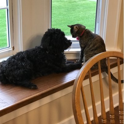 maryotis1's profile picture. 