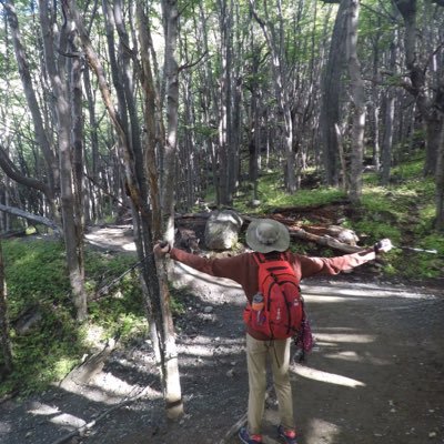 jetgatewood's profile picture. 