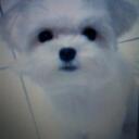 Sie Wan Jung - @Rita128 - Twitter