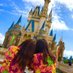 Seika..◡̈♥︎ (@sei_aaaxxx) Twitter profile photo Seika..◡̈♥︎ (@sei_aaaxxx) Twitter profile photo
