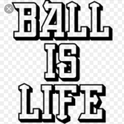 AFL Cricket NRL Basketball Rugby Union