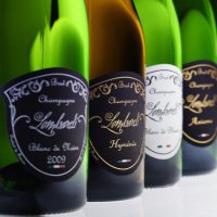 Champagne Lombardi (@champagnelomb) 's Twitter Profile Photo Champagne Lombardi (@champagnelomb) 's Twitter Profile Photo