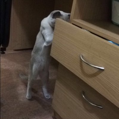 bugbyt_e's profile picture. welcome to my house