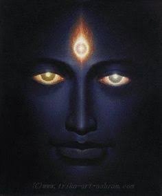 Proud Hindu, Averse to MK Gandhi's philosophy, Terror HAS a religion, Free my temples from Govt control, Only scientific religion is Santan Dharma.