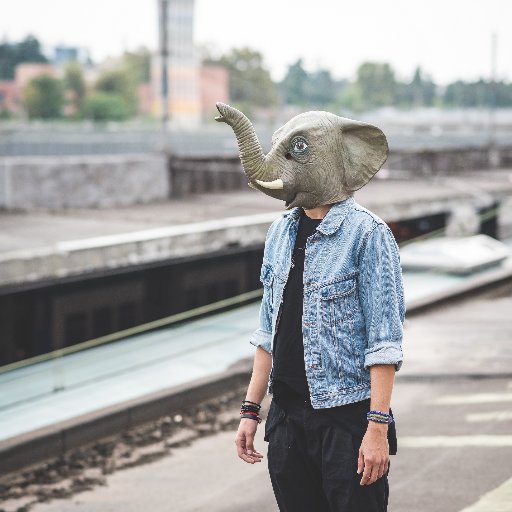 OH_DEER1's profile picture. Our four-legged friends are being abused & it's up us to speak up for them since they can't themselves. Animal lover. Animal rights activist. Friend.