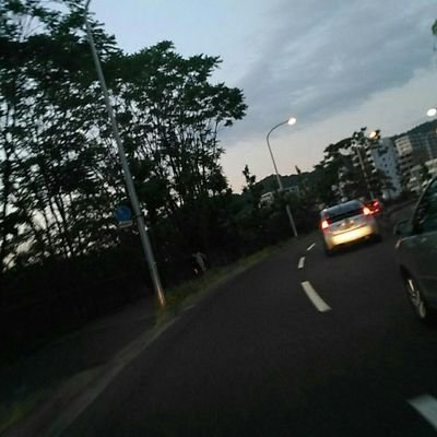 yu_kingdon's profile picture. 男 イヌとネコ 山と海