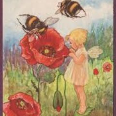 Mum to football mad girls, Hospice ACP & QI Lead, gardener, rescuer of bees. passionate about palliative care and lover of life. my many opinions are my own.
