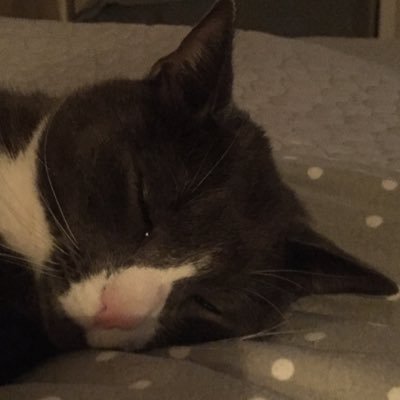 Hutchie1981's profile picture. 