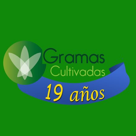GCultivadas's profile picture. Somos una empresa que cosecha y distribuye gramas de alta calidad en Panamá.