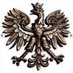 Polskie_Sluzby (@PolskieSluzby) Twitter profile photo