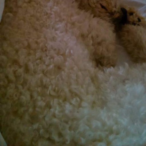 pomonalugo's profile picture. 