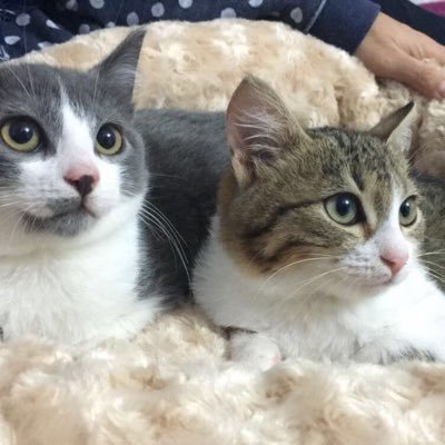 CnsuBasaran's profile picture. 