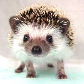 IKato0907's profile picture. 