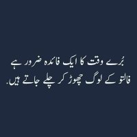 Muhammad Tahir (@muhammad3831050) 's Twitter Profile