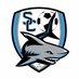 SCHS Womens Soccer (@ladysharksoccer) Twitter profile photo