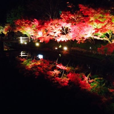 code_witch's profile picture. 「ときめきクライシス」は"絶版"だ