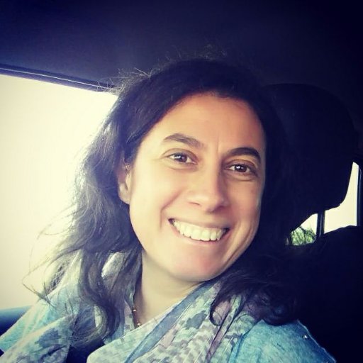 accloureiro's profile picture. Associate Professor @ Dep. Educational Technologies - Polytechnic Institute of Santarém | 
Coordinator of Master Degree Digital Resources in Education