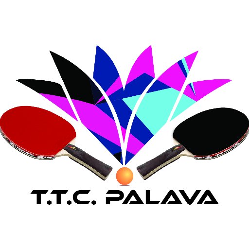 ttcpalava's profile picture. 🏓