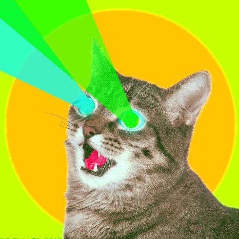 chupa__mos's profile picture. 