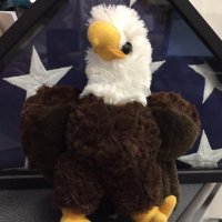 Theater and Debate Eagle (@debateeagle) 's Twitter Profile