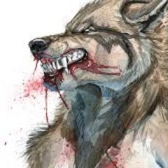 WolfysGirl6's profile picture. 