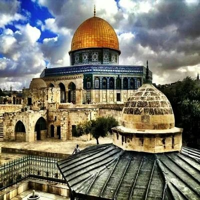 milav2018's profile picture. Thanks God for The Blessing of Islam