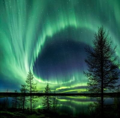 SSolodyagin's profile picture. 