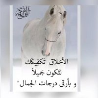 اعتزال (@m_mjd_) 's Twitter Profile