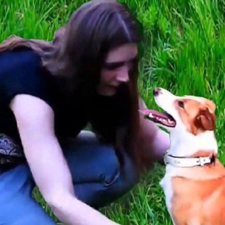 SlideshowX91's profile picture. Hi, This is #LiveSlideshow X91. I love #dogs & #funnydogvideo, #cutedogs, #dodpicture #dogs can enrich and improve the lives of people and their communities.