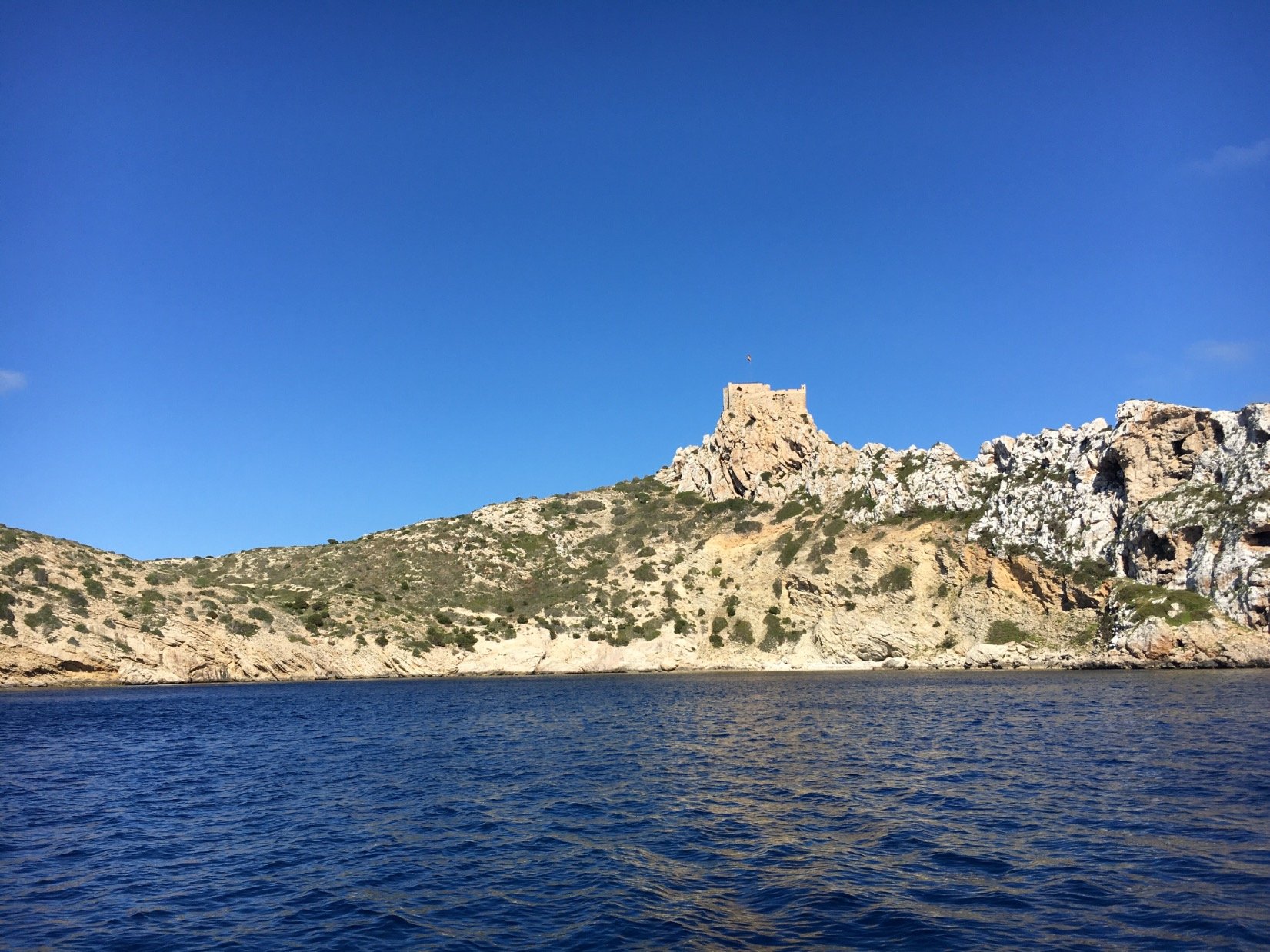 mateujs's profile picture.