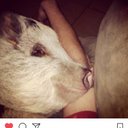 BJ Taylor - @justmebj1 - Twitter