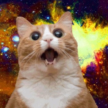 cloudsheep0's profile picture. 😄😄😄😄😄