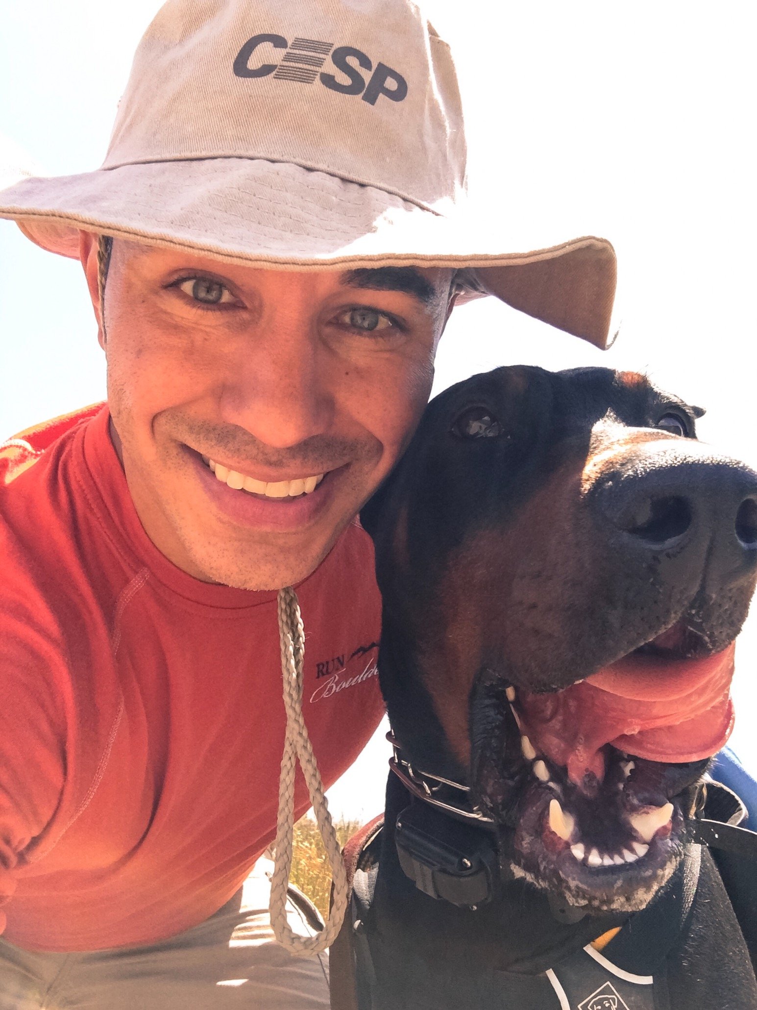 TellesAndy's profile picture. Director of Sales. Father. Husband. Sports guy.