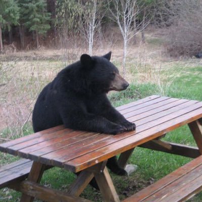 S&P CAPE & PEG are high. Gov't debt/GDP is high. QE has distorted asset prices, vol, and correls. Central banks are hawkish. Patiently waiting stormy weather.