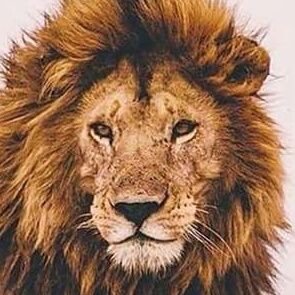 colada1985's profile picture. Love to inspire and get inspired, Katycat since ✨Wideawake✨