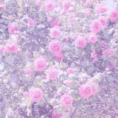 سبحان الله و بحمده سبحان الله العظيم.
https://t.co/iBEp2hD0pN